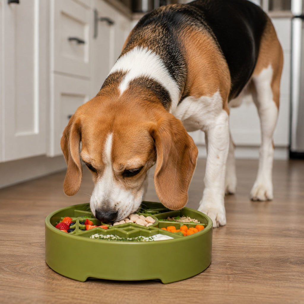 Great Outdoors eBowl - Slow Feeder Dog Bowl & Enrichment | USA Made