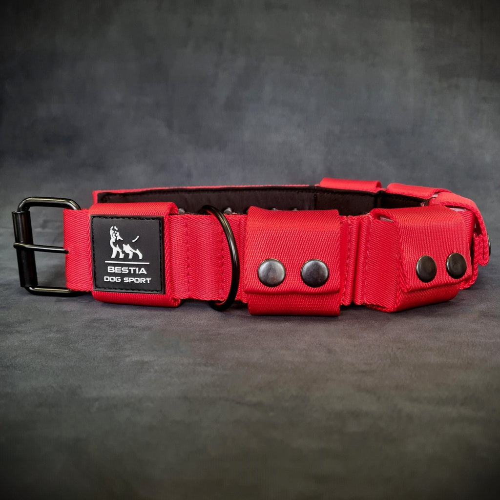 BESTIA DOG SPORT Weighted Dog Training Collar