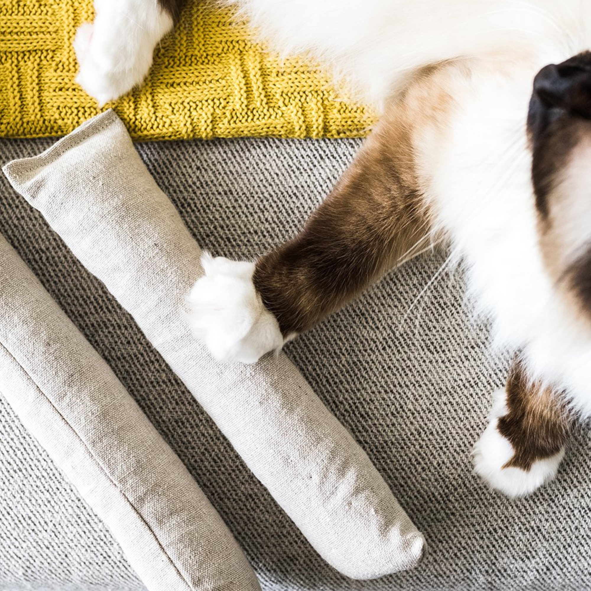 Hemp & Cotton Cat Kicker Toy for Bunny Kicks | Boba & Vespa