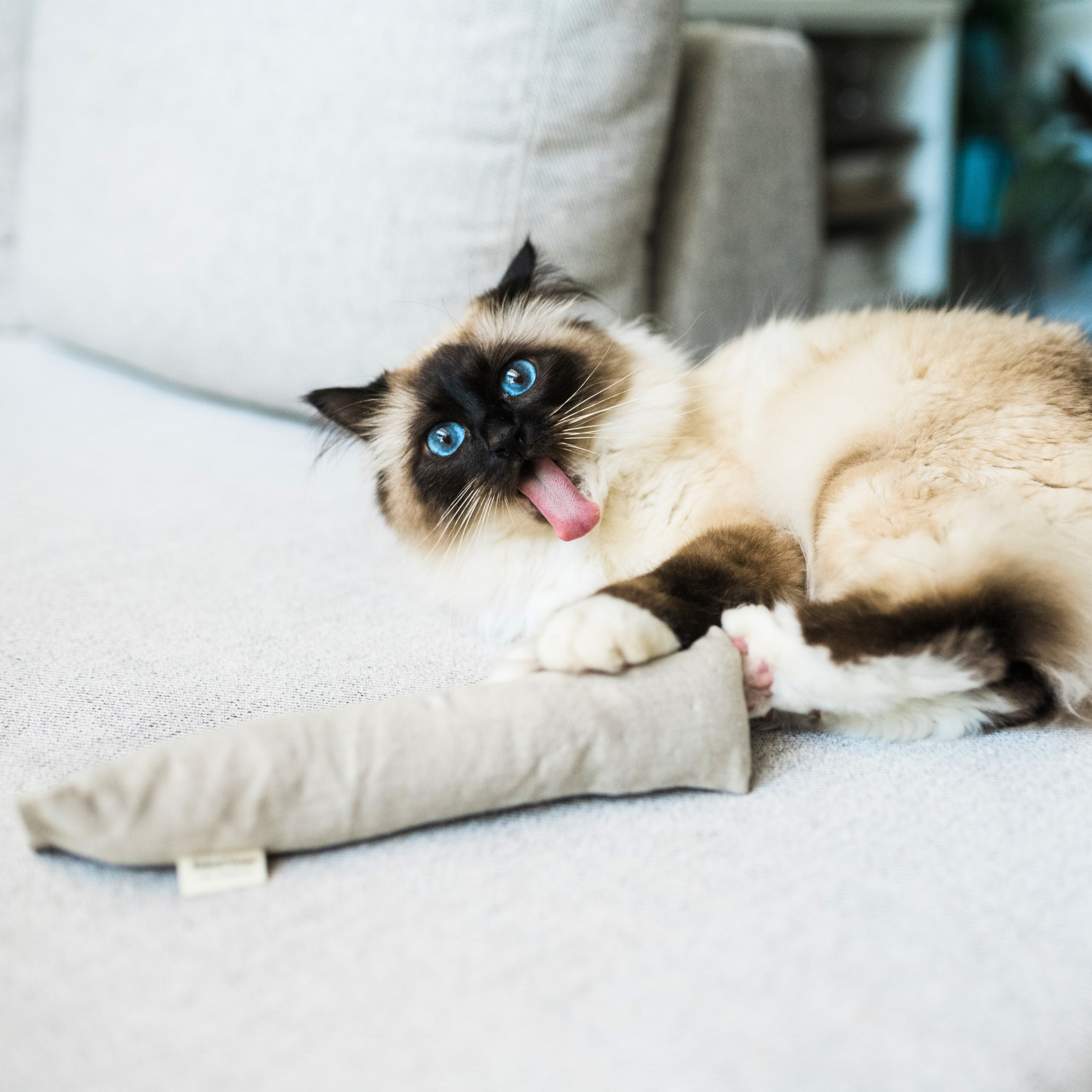 Hemp & Cotton Cat Kicker Toy for Bunny Kicks | Boba & Vespa