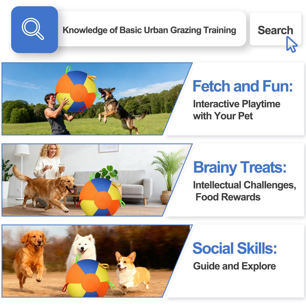Herding Ball For Dogs, Large Dog Ball With Handles For Outdoor Play, Indestructible Training Toy Balls For Australian Shepherd, Interactive Toy Balls For Medium & Large Dogs