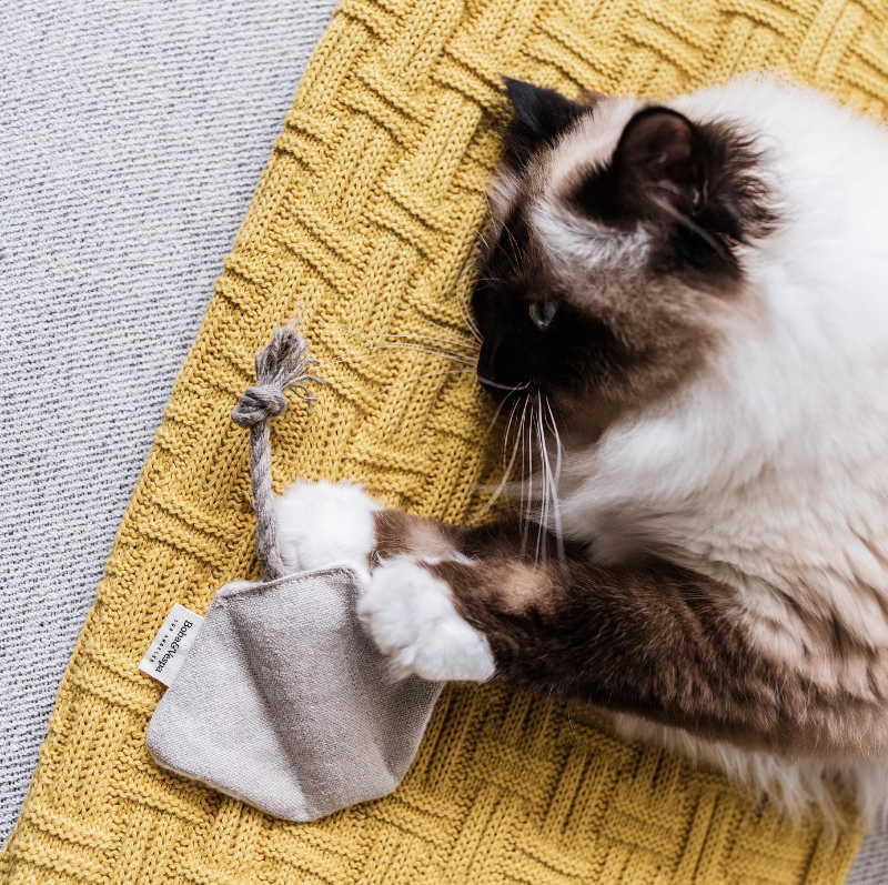 Stingray Cat Toy in Cotton with Buckwheat for Crinkles and Organic Catnip | Boba & Vespa